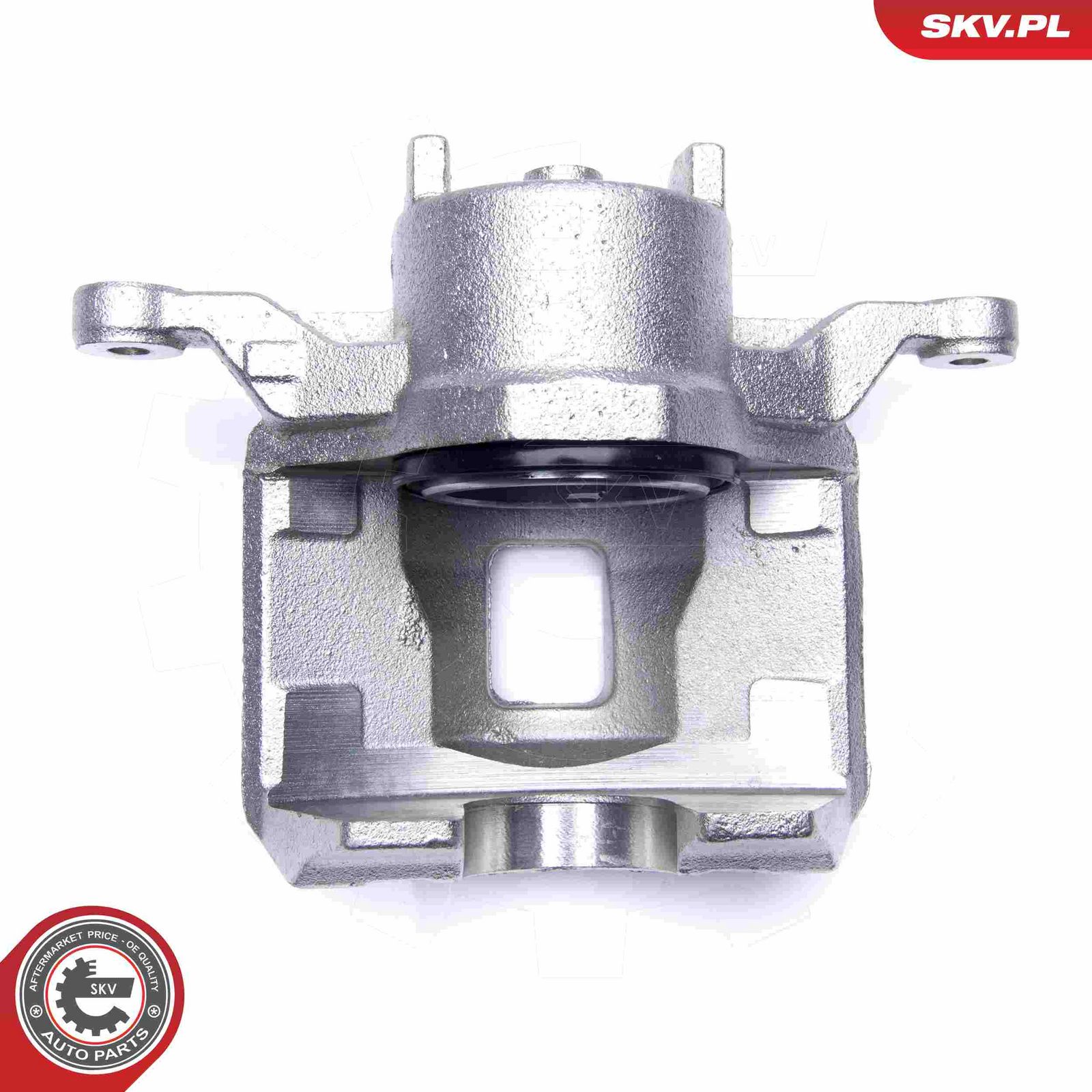 Brake Caliper-5