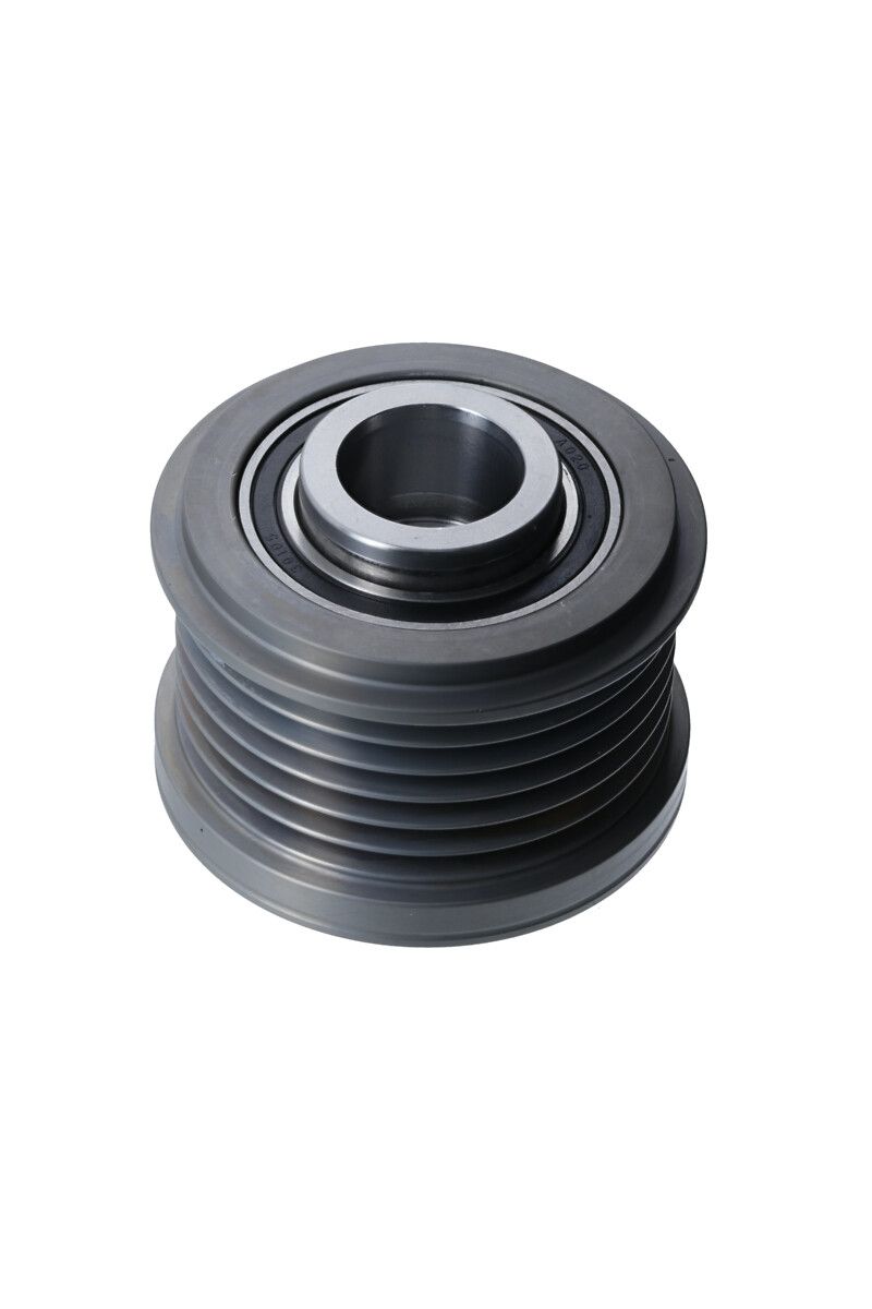 Alternator Freewheel Clutch-1