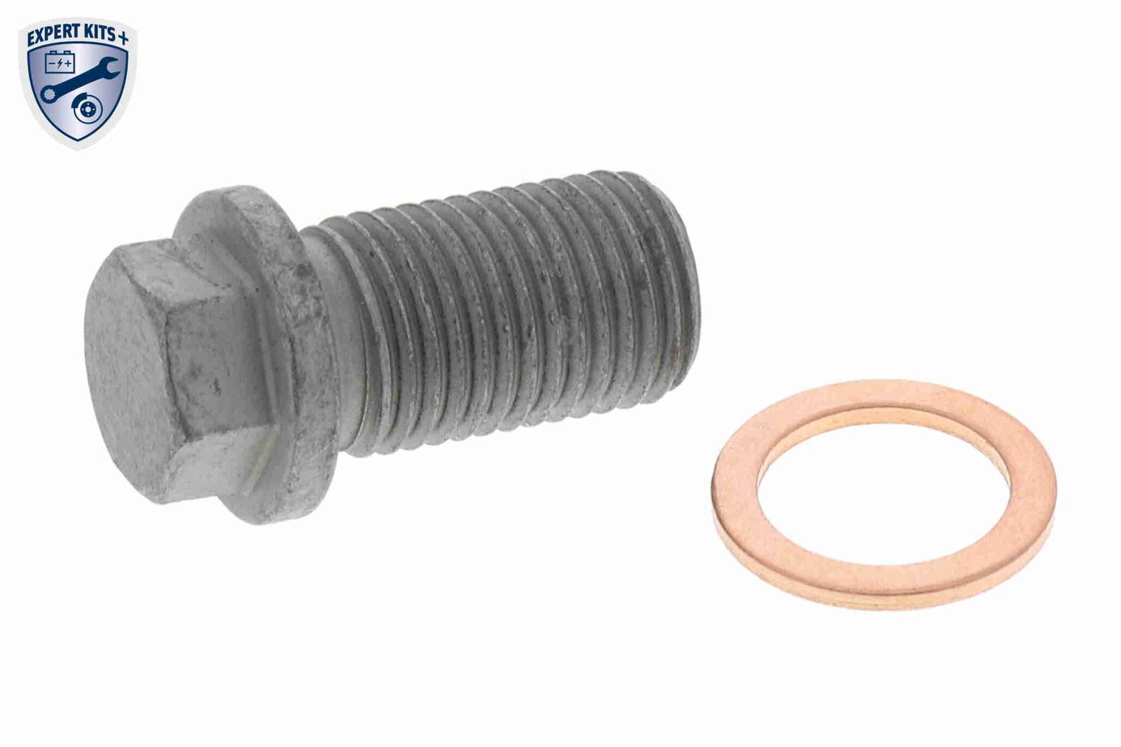 alyvos išleidimo kaištis, alyvos karteris