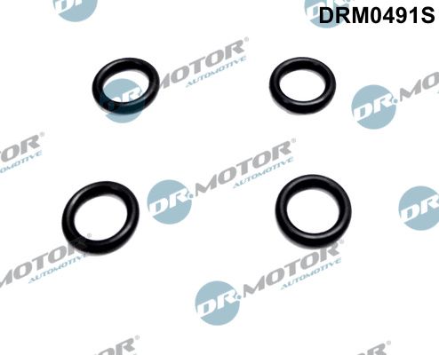 DR.MOTOR AUTOMOTIVE DRM0491S Seal ring, injector