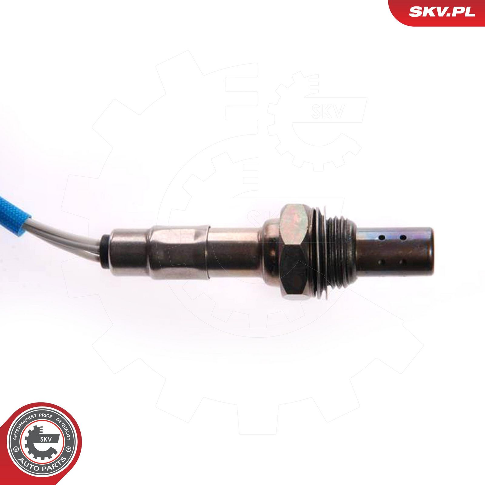 Oxygen Sensor-2