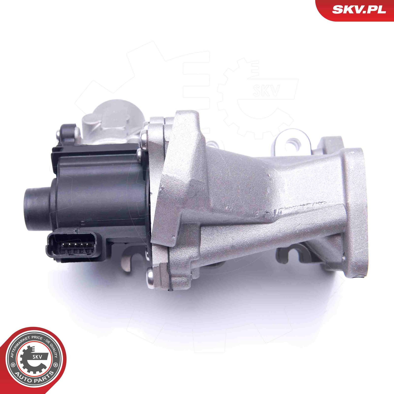 EGR Valve-4