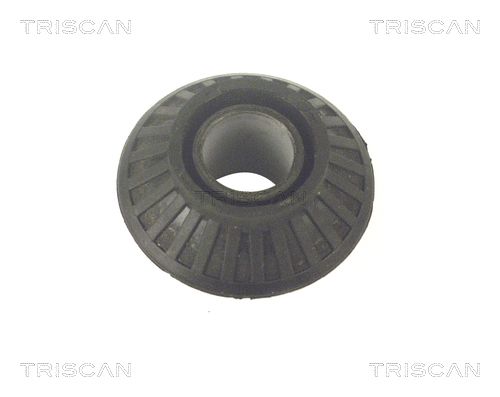 Mounting, control/trailing arm-1