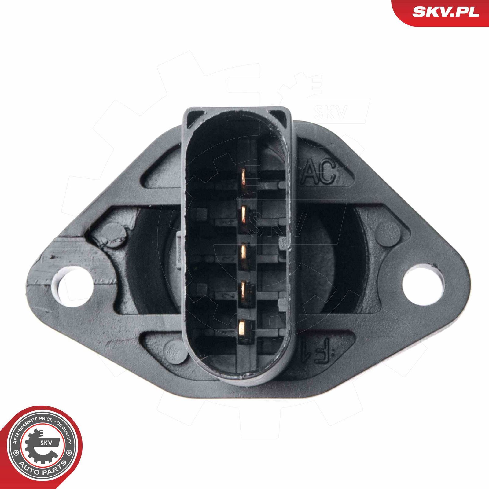 Mass Air Flow Sensor-1