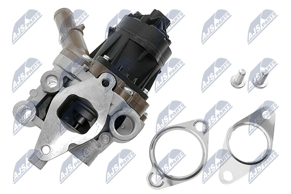 EGR Valve-2