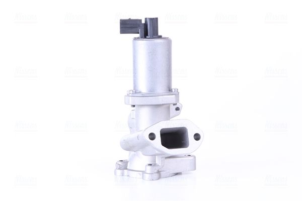 EGR Valve-1