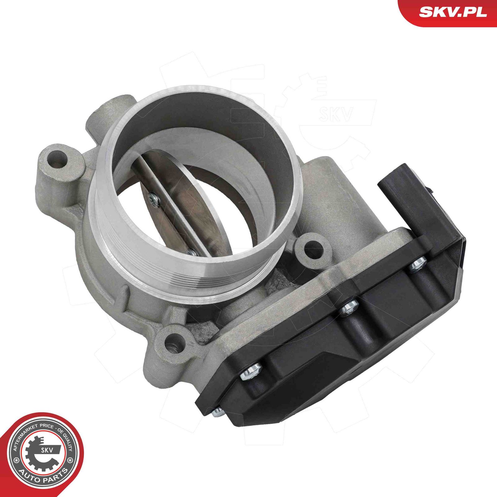 Throttle Body-2