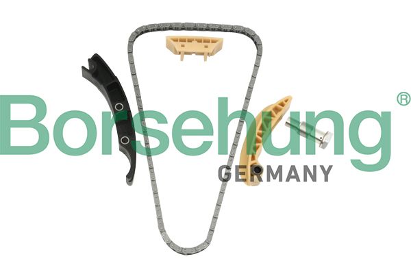 BORSEHUNG B10208 Timing chain kit