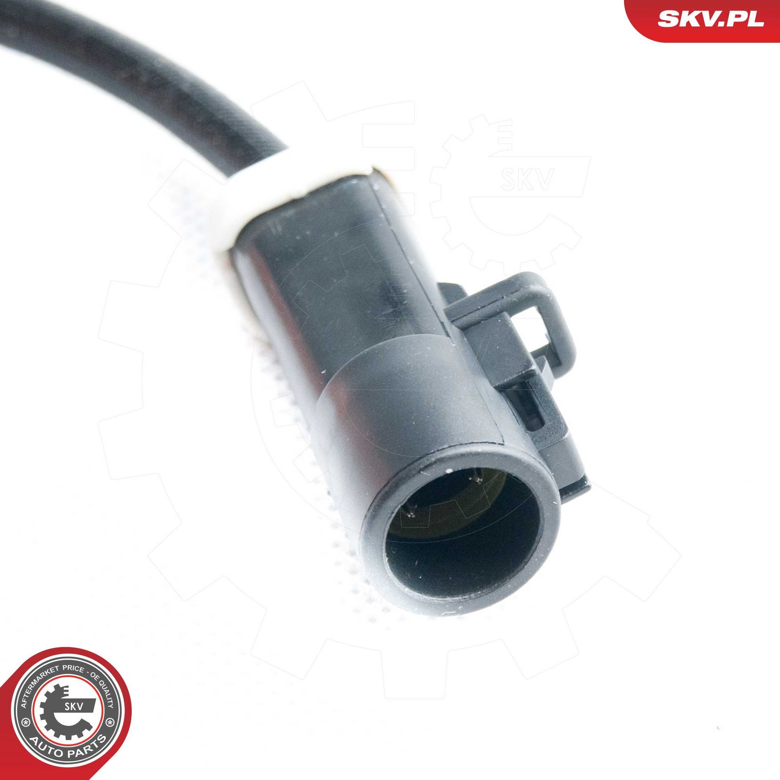 Oxygen Sensor-2