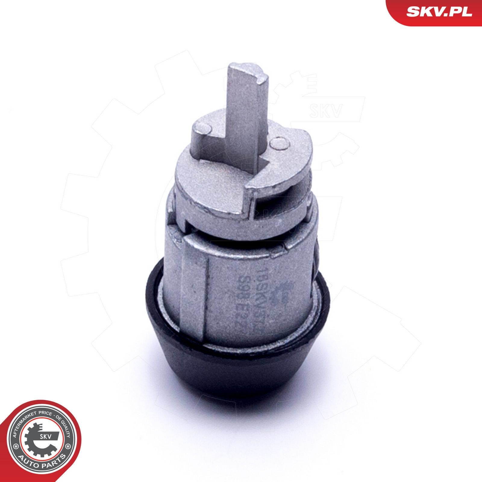 Steering Lock-1