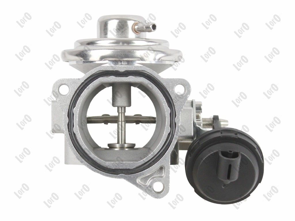 EGR Valve-4