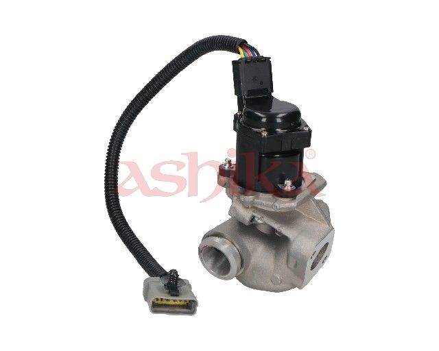 ASHIKA 150-00-0306 Egr valve