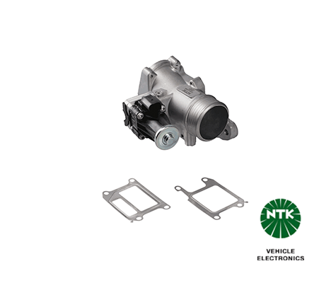 EGR Valve-1