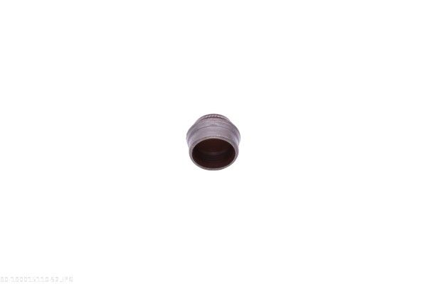 Seal Ring, valve stem-3