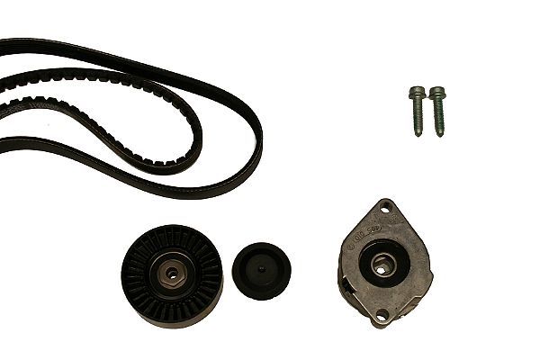 HEPU 20-1394 V-ribbed belt set