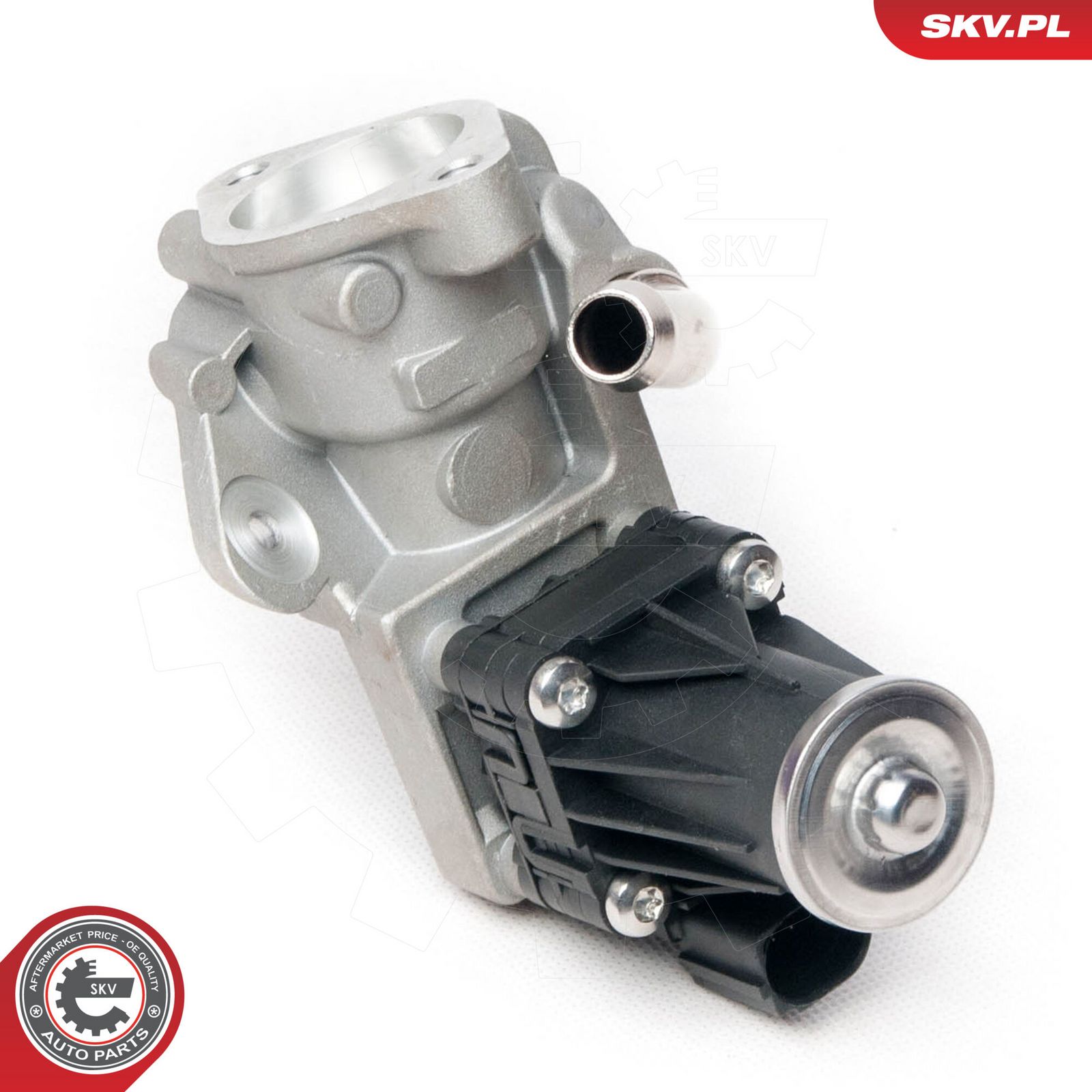 EGR Valve-2