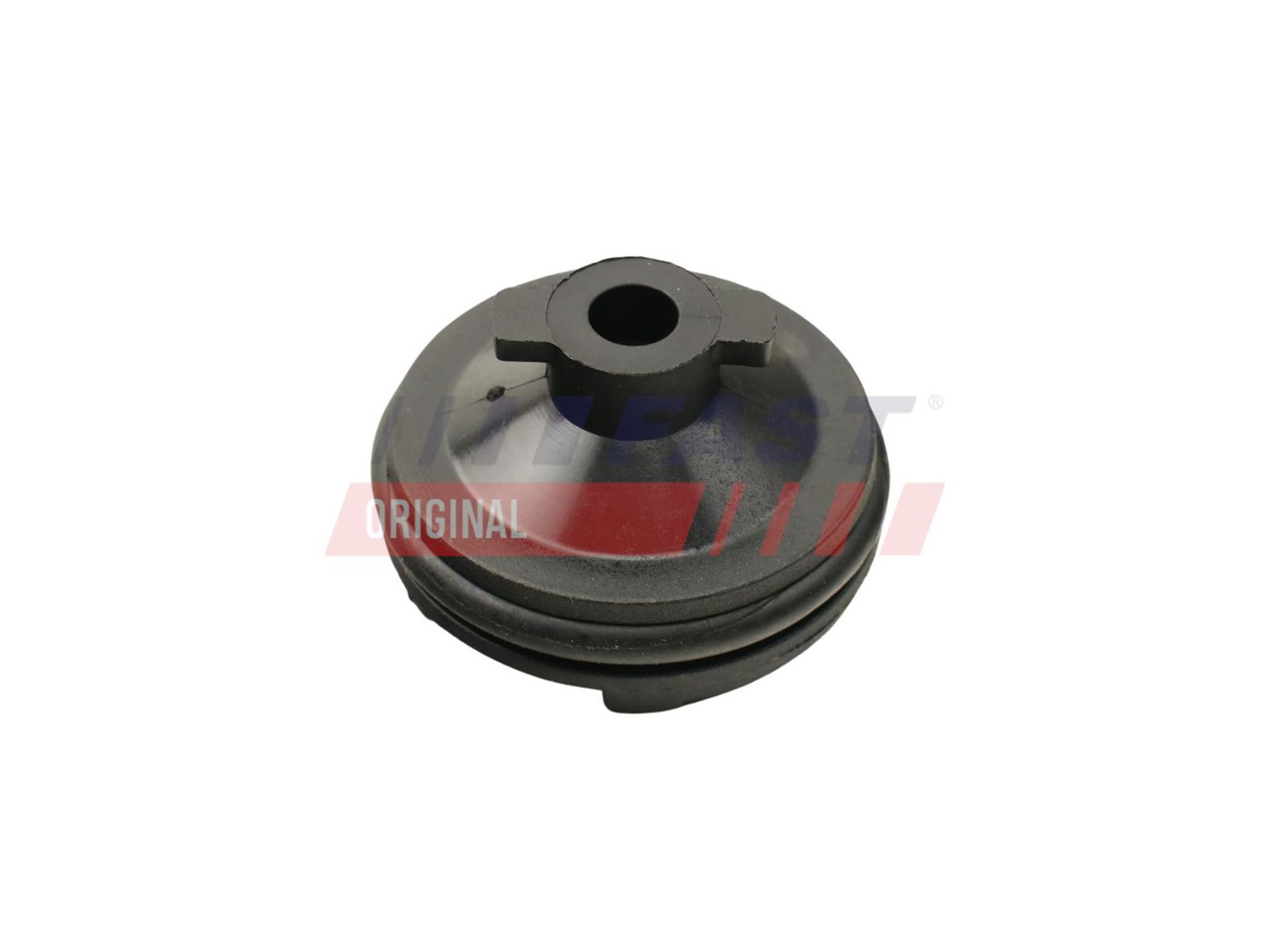 FAST FT49501 Screw plug, oil sump
