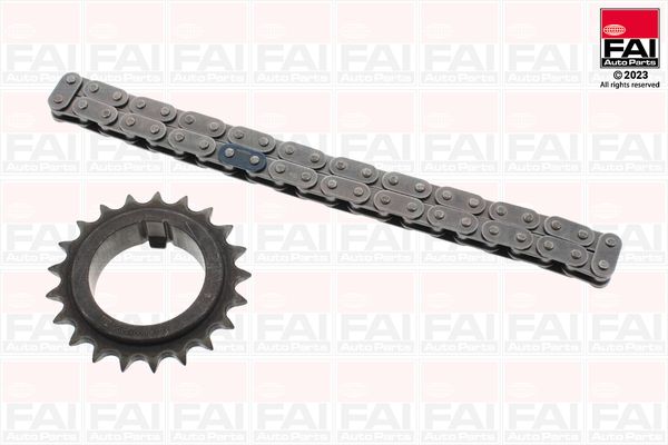 FAI AUTOPARTS OPCK46 Chain, oil pump drive
