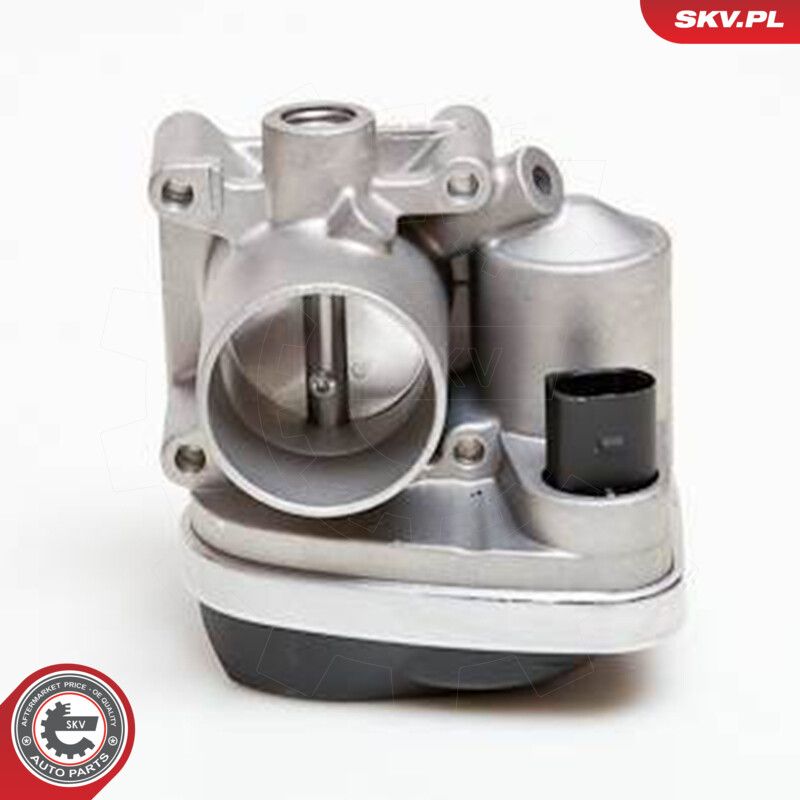 Throttle Body-1