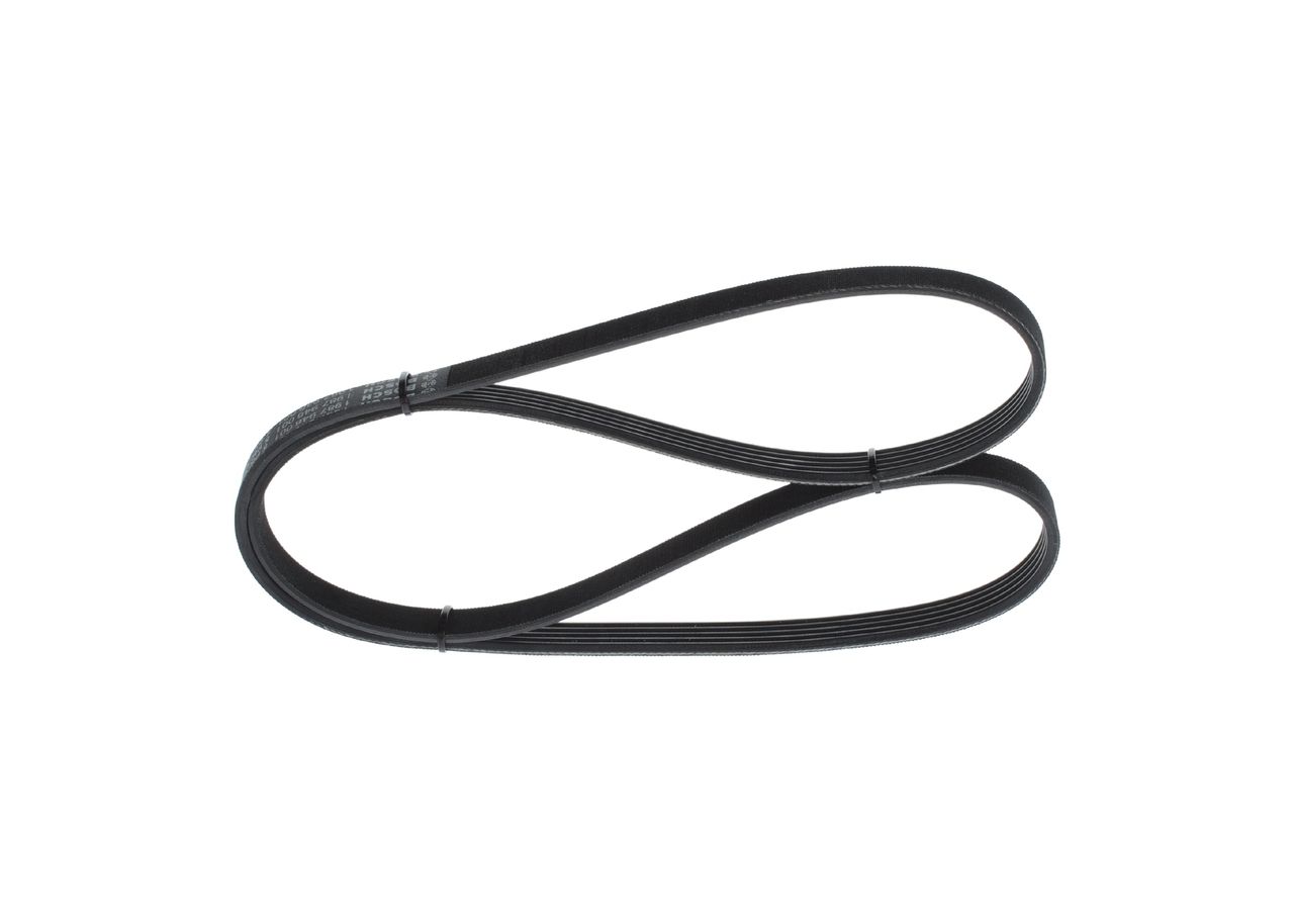 V-ribbed Belt