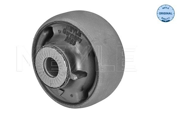 Mounting, control/trailing arm