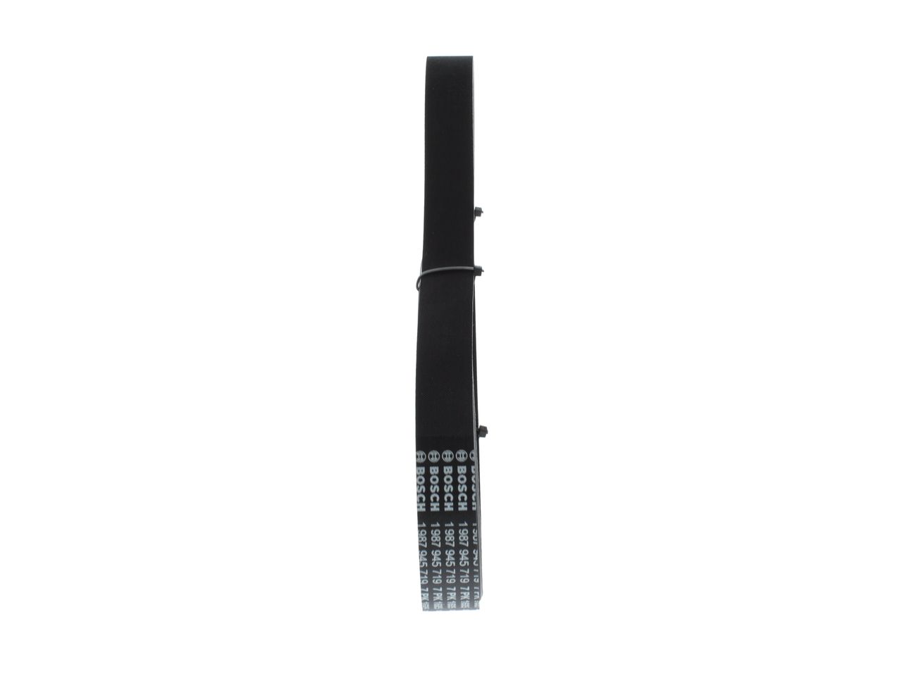 V-ribbed Belt-3