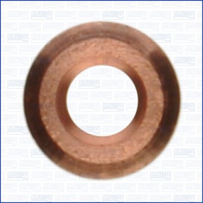 Seal Ring, injector-1