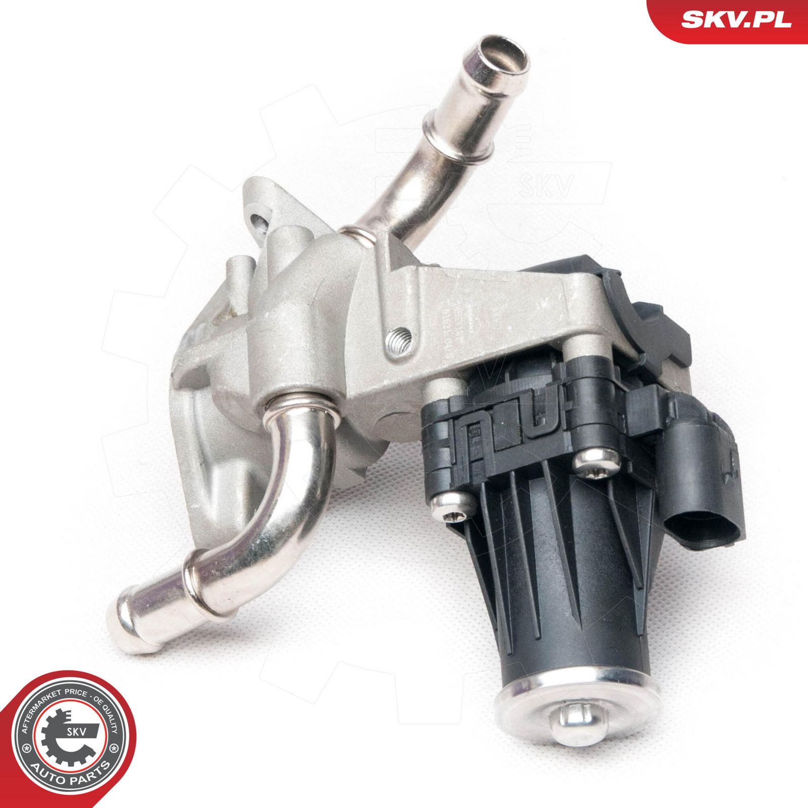 EGR Valve-1