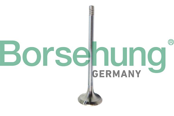 BORSEHUNG B10321 Exhaust valve