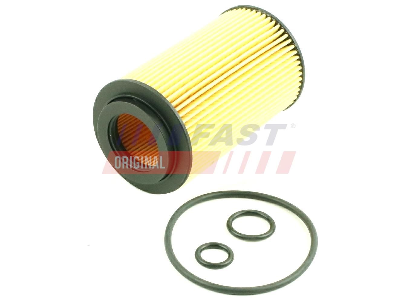 FAST FT38013 Oil filter