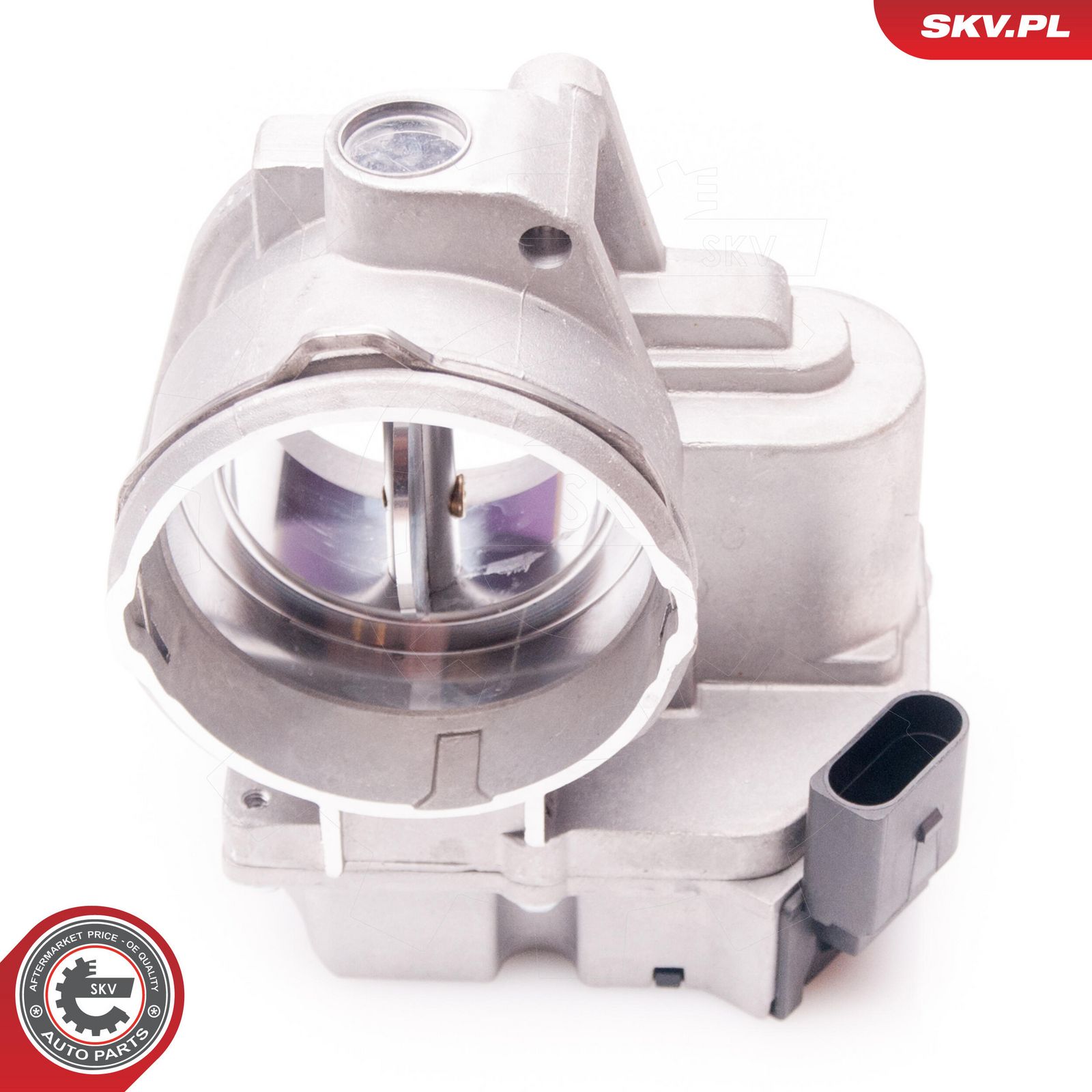 ESEN SKV 12SKV061 Throttle body