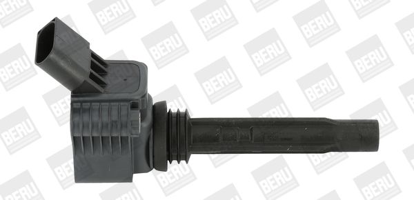BORGWARNER (BERU) ZSE067 Ignition coil