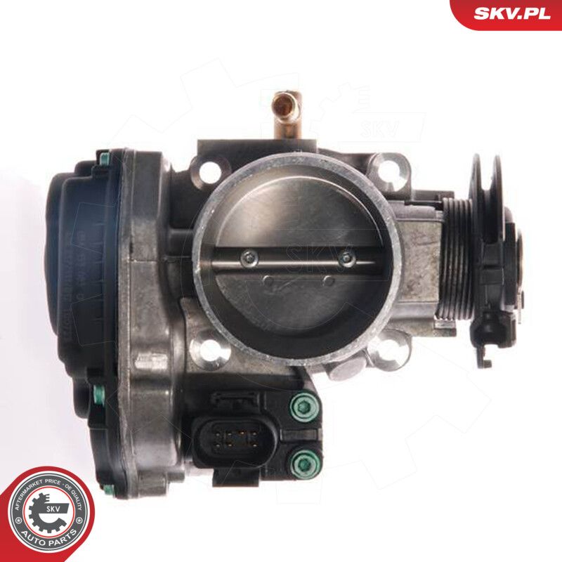 Throttle Body-1