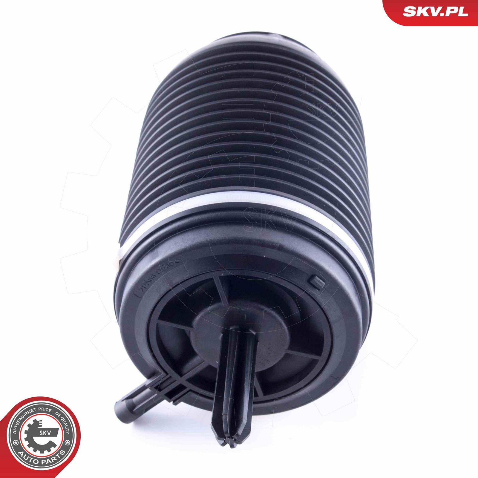 Air Spring, suspension-1