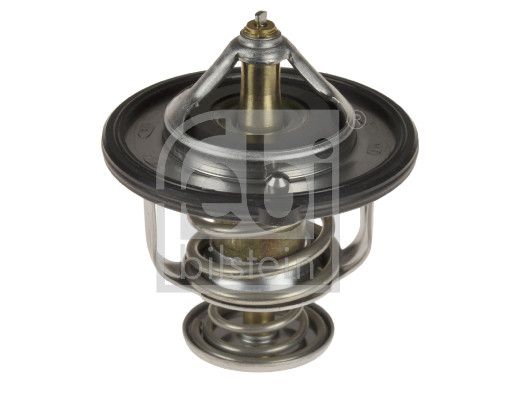 termostatas, aušinimo skystis