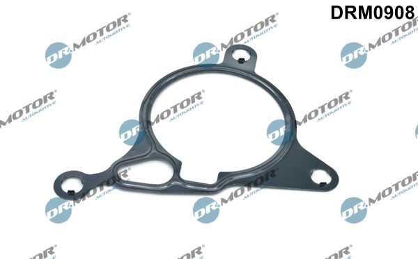 Gasket, vacuum pump
