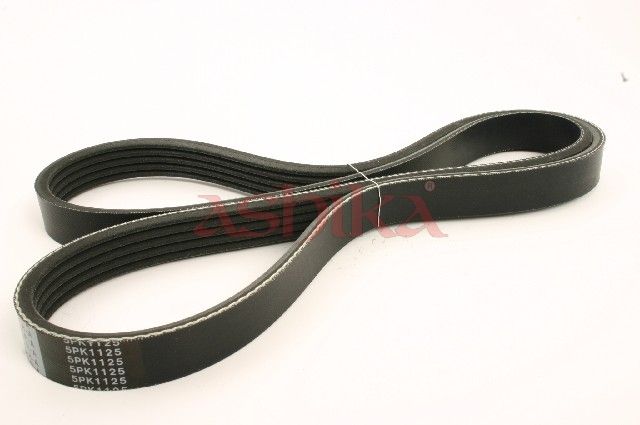 ASHIKA 112-5PK1125 V-ribbed belt