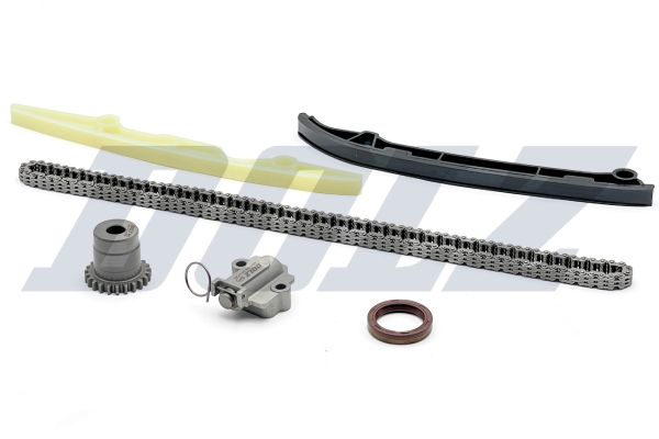 DOLZ SKCF063 Timing chain kit