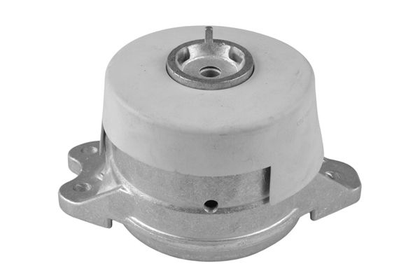 TEDGUM TED42670 Mounting, engine