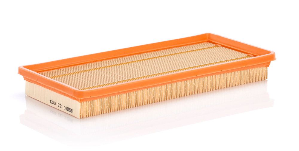 MANN-FILTER C 33 005 Air filter