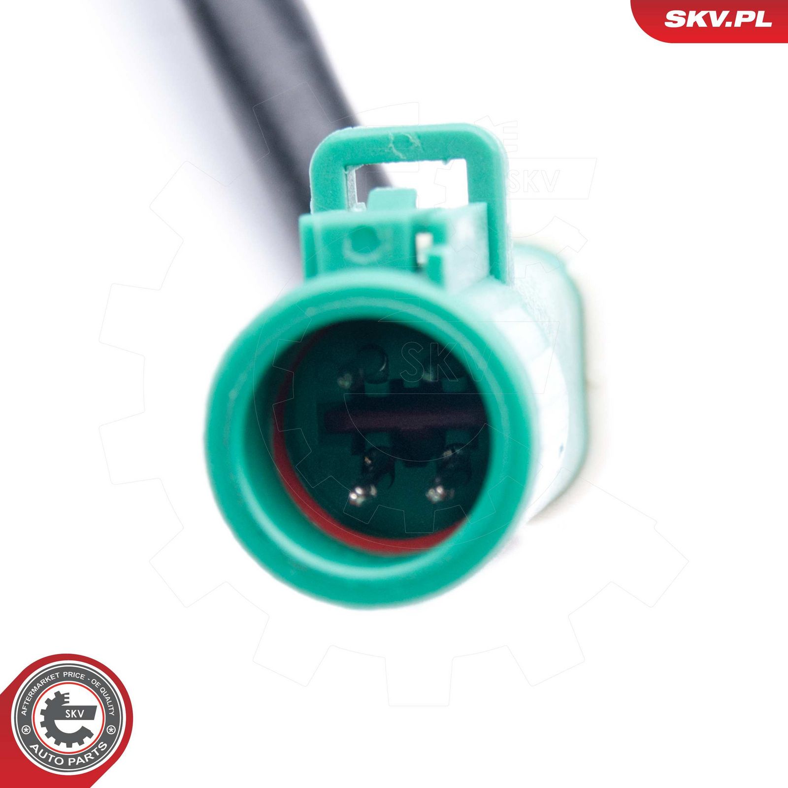 Oxygen Sensor-2