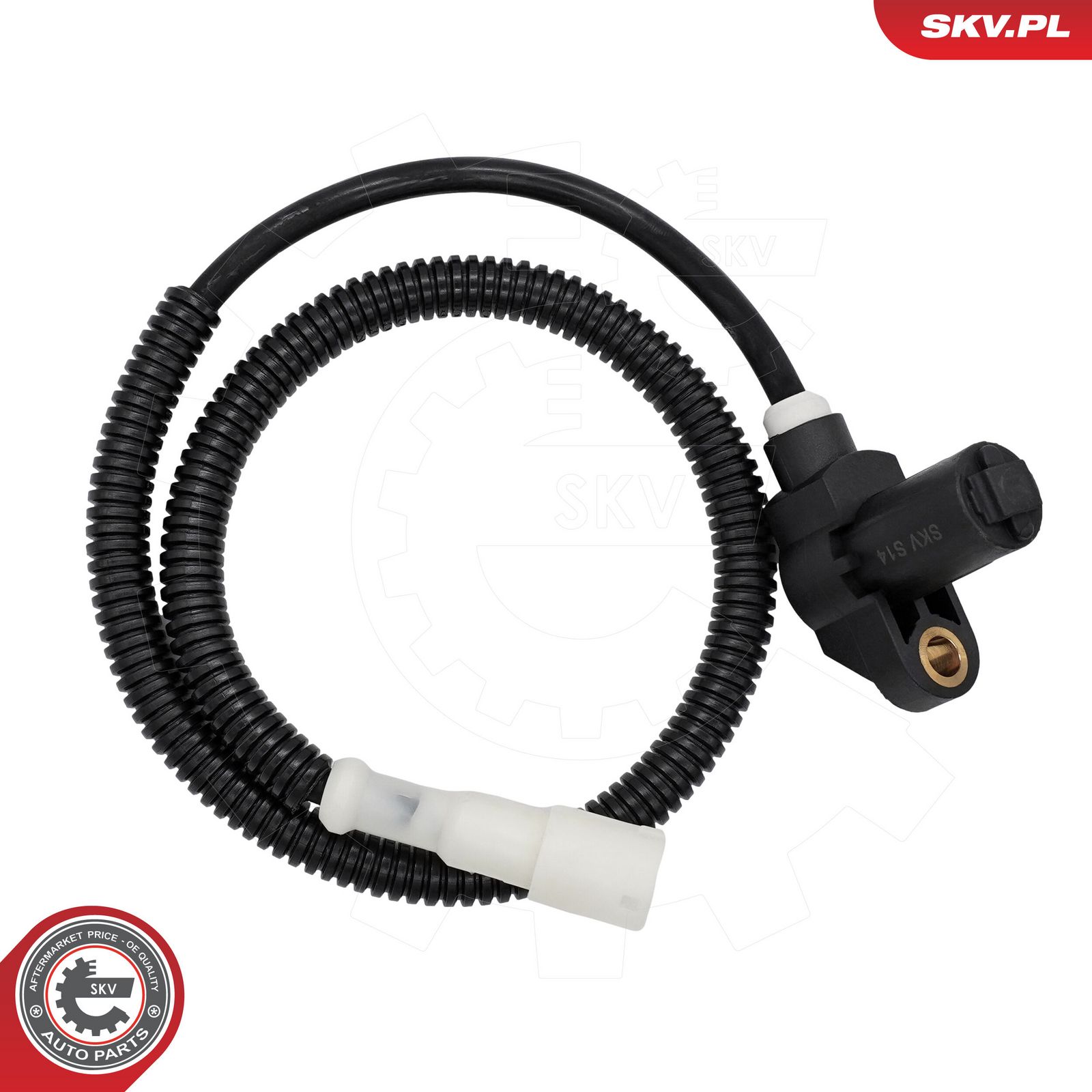 Sensor, wheel speed