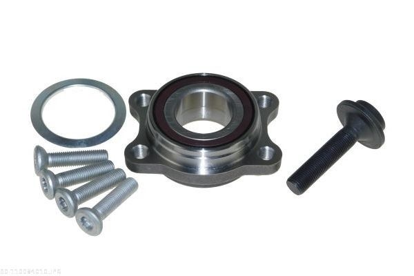 AUTOMEGA 110084010 Wheel bearing kit