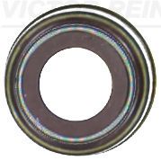 VICTOR REINZ 70-38487-00 Seal ring, valve stem