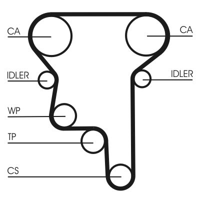 Timing Belt-1