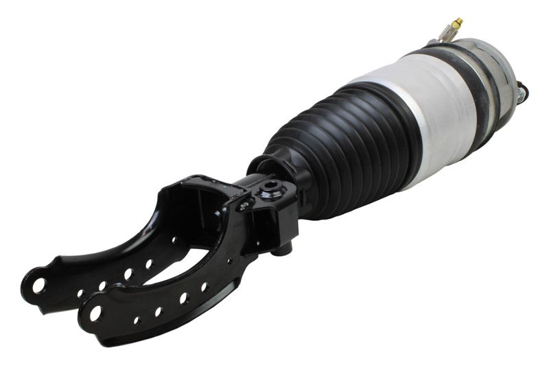 Air Suspension Strut-1