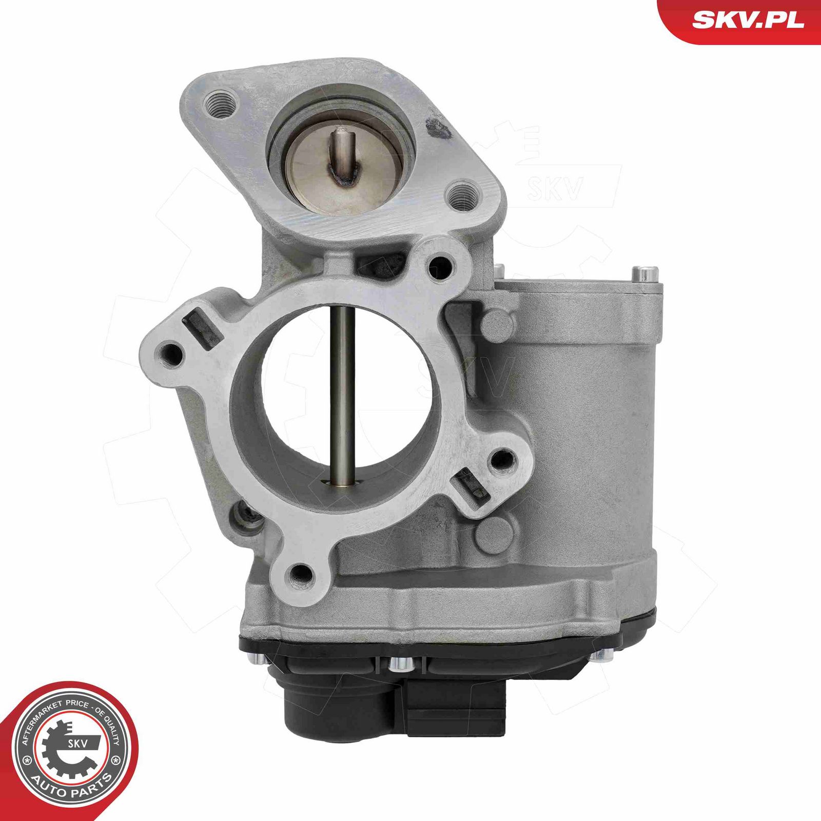 ESEN SKV 14SKV317 Egr valve