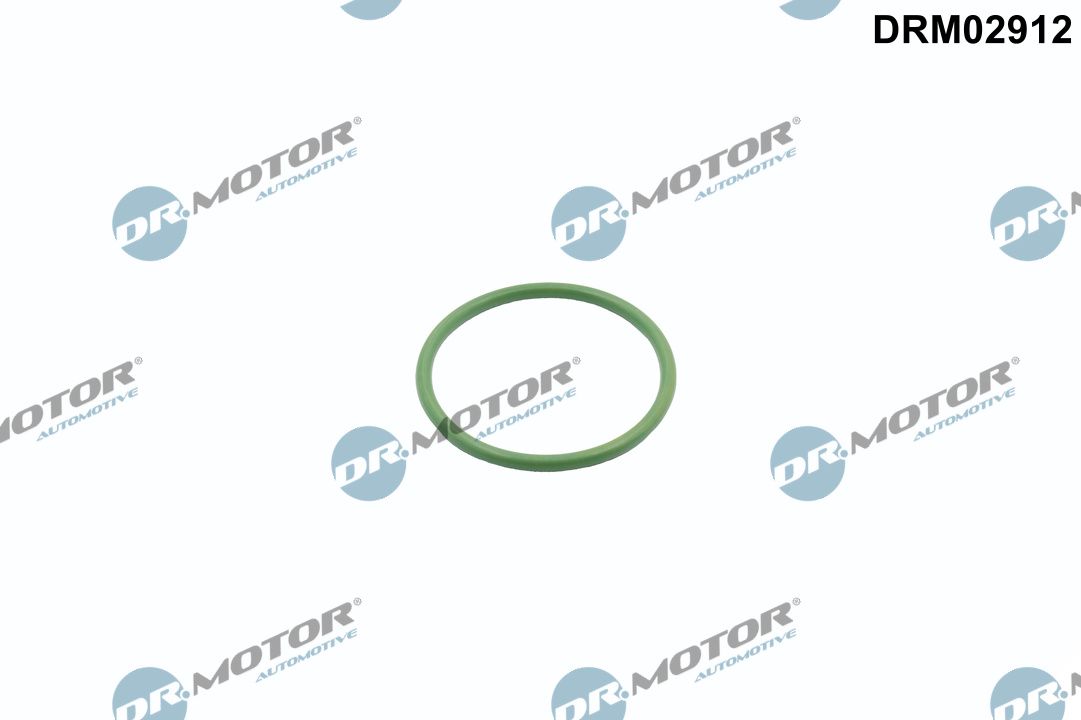 DR.MOTOR AUTOMOTIVE DRM02912 Seal ring