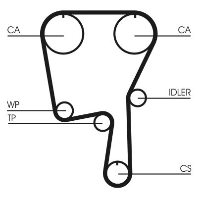 Timing Belt-1