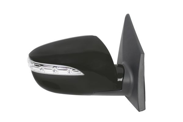 ABAKUS 1552M02 Exterior mirror